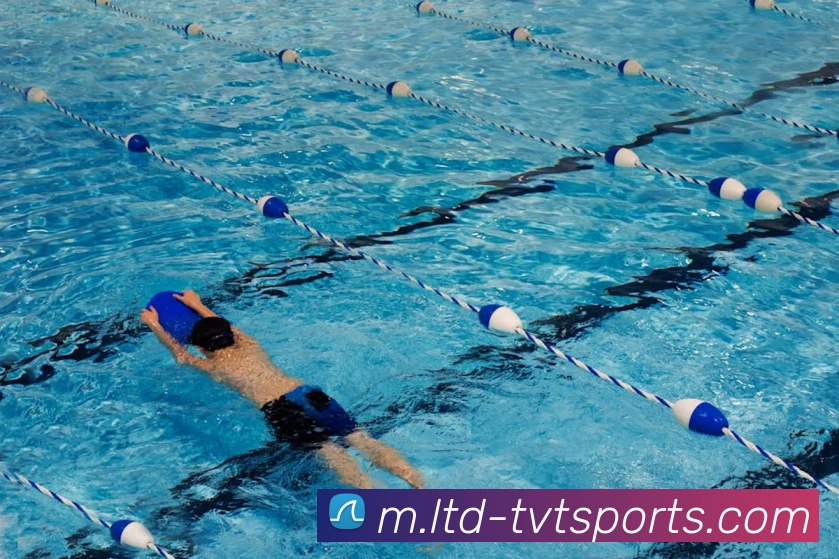 体育下注平台生态图