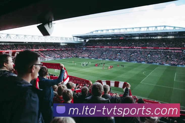 体育下注全站App