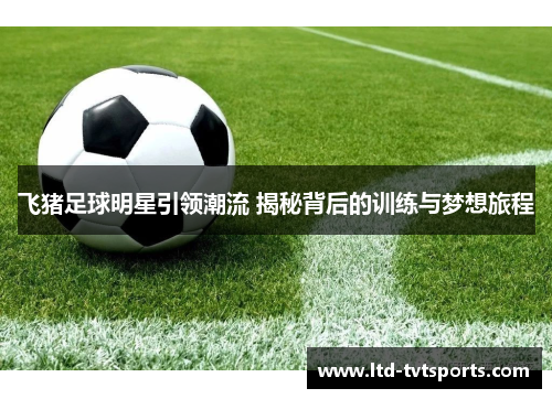 飞猪足球明星引领潮流 揭秘背后的训练与梦想旅程 飞猪足球明星引领潮流 揭秘背后的训练与梦想旅程