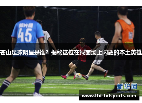 苍山足球明星是谁?揭秘这位在绿茵场上闪耀的本土英雄 苍山足球明星是谁?揭秘这位在绿茵场上闪耀的本土英雄