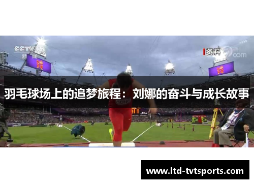 羽毛球场上的追梦旅程：刘娜的奋斗与成长故事