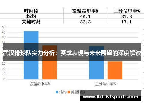 武汉排球队实力分析：赛季表现与未来展望的深度解读