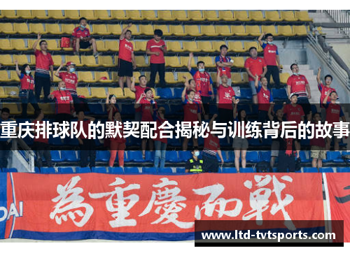 重庆排球队的默契配合揭秘与训练背后的故事