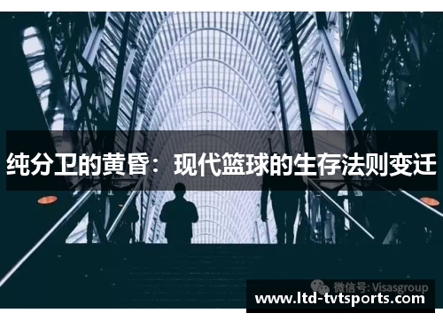 纯分卫的黄昏:现代篮球的生存法则变迁 纯分卫的黄昏:现代篮球的生存法则变迁